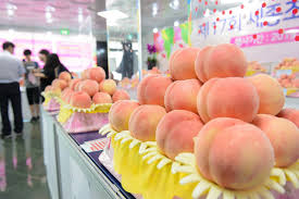 제22회 세종 조치원 복숭아 축제 기본일정과 프로그램 정리