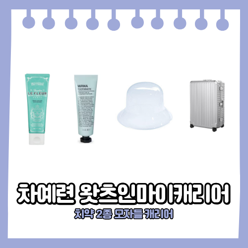 차예련 왓츠인마이캐리어 치약 모자 보호틀 캐리어