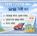 차량 5부제 기준
