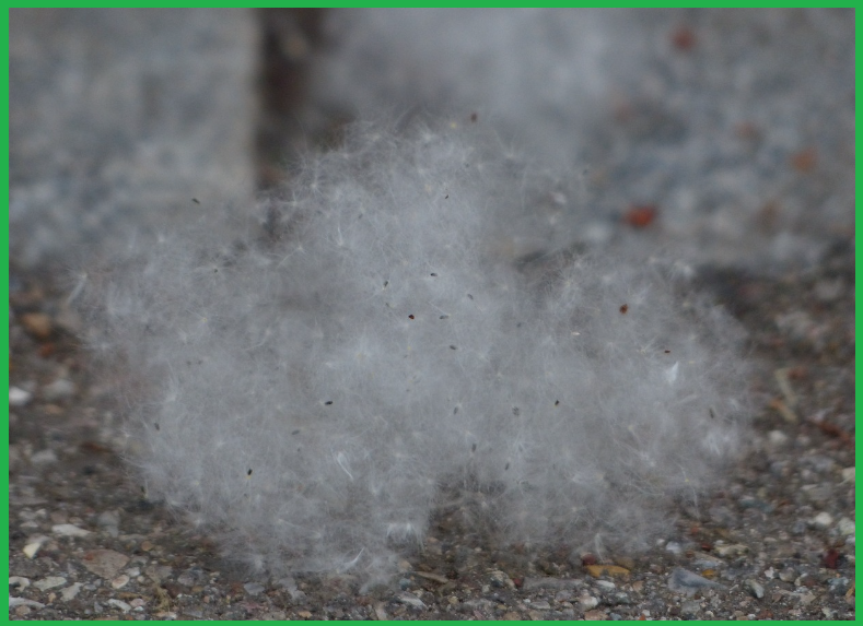 알레르기-원인-해결방법