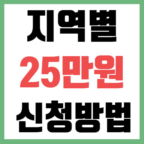 이재명 민생회복 지원금 25만원