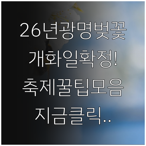 2026년 광명시 지역별 벚꽃 개화일..