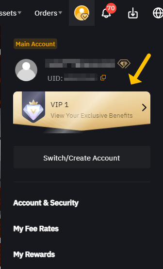 VIP 예시 사진