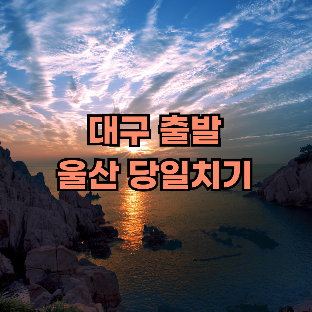 대구출발 울산 여행