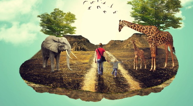 포토샵 체험판 무료 다운 방법 (2024년 11월) 1