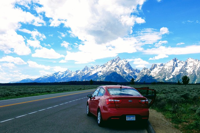 2025년 자동차세 납부