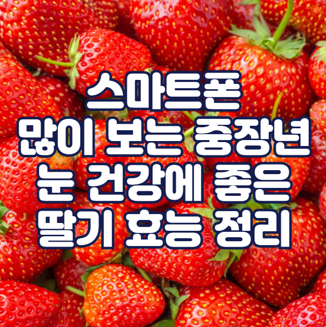 스마트폰 많이 보는 중장년, 눈 건강에 좋은 딸기 효능 정리