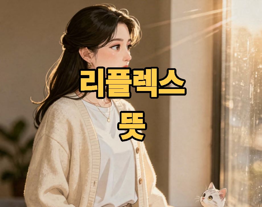 리플렉스 뜻