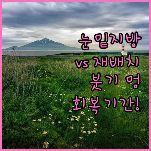 눈밑지방 재배치 방식별 붓기와 멍 회..