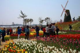 안면도꽃박람회