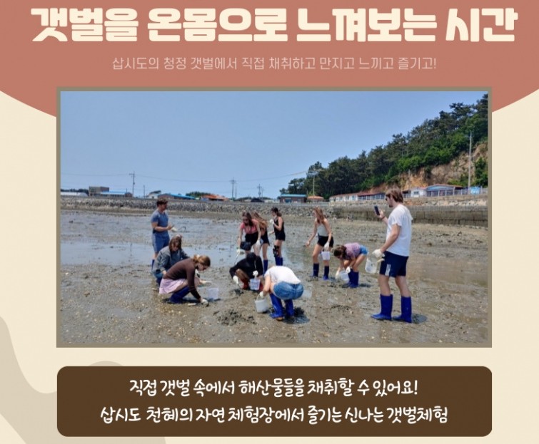 삽시도어촌체험휴양마을