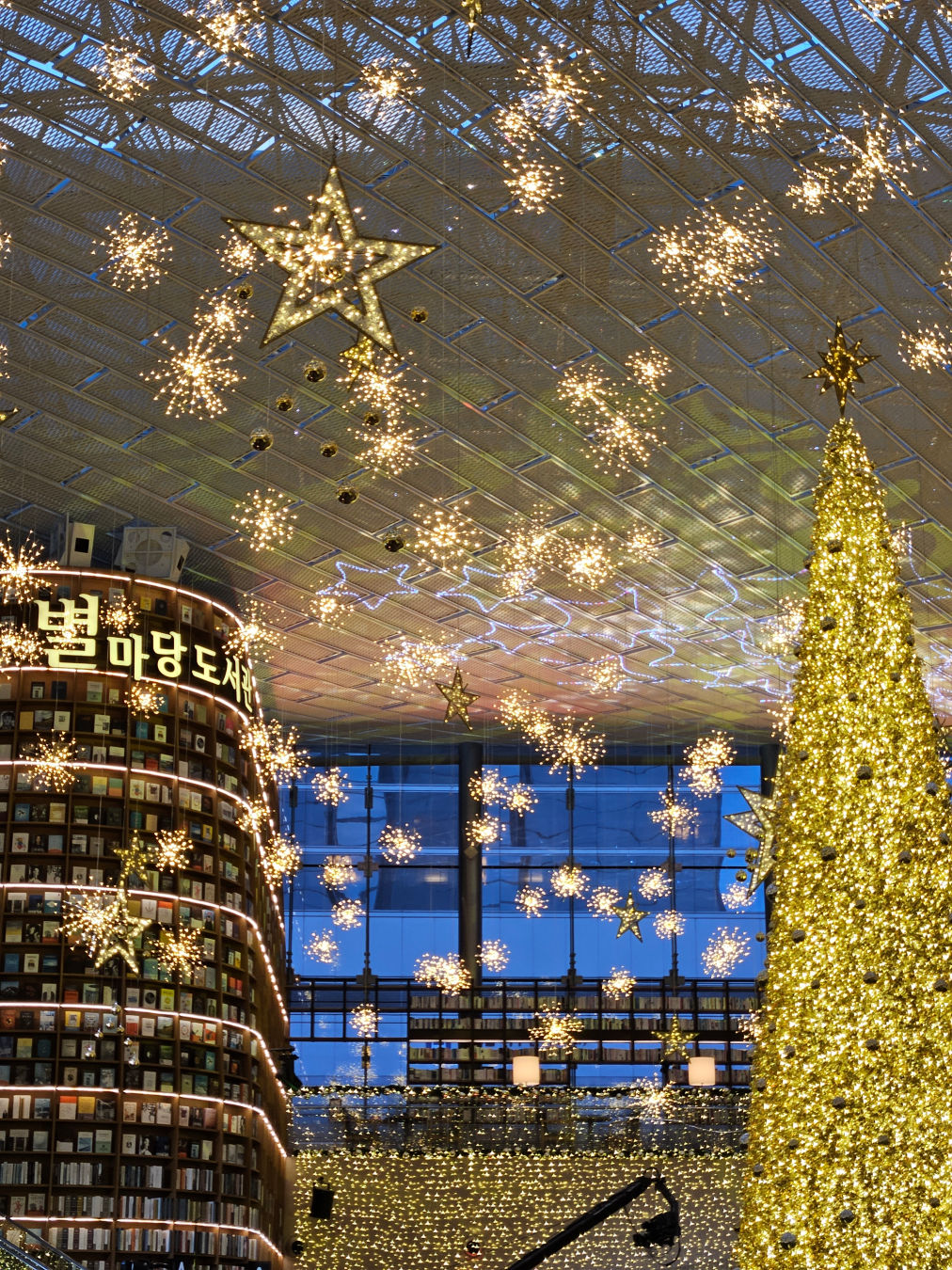 크리스마스 명소 별마당도서관