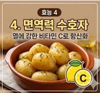 감자 효능