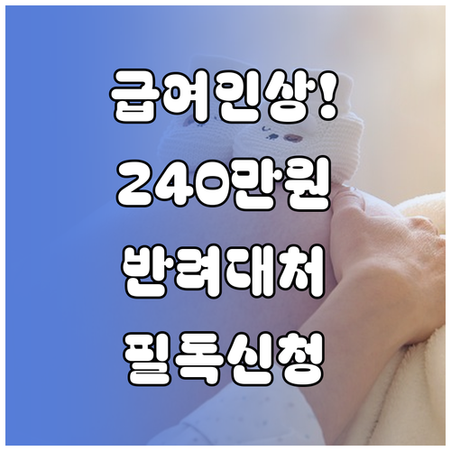 출산휴가 급여 240만원 인상 대상 ..
