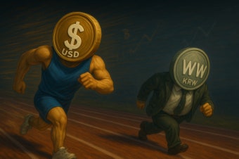 스테이블코인 시장