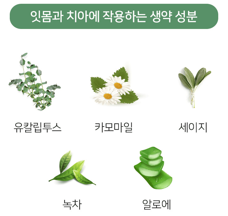 치약 추천 순위 TOP 5 공개 - 네이버, 쿠팡, 올리브영 소비자 선호도 분석