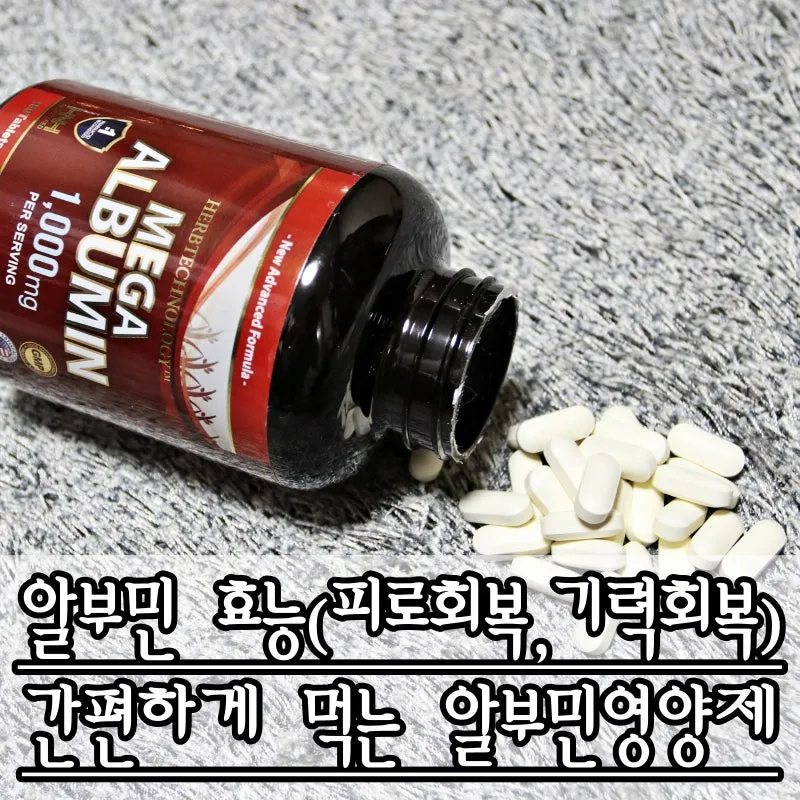 알부민 효능과 부작용 정리자료_4