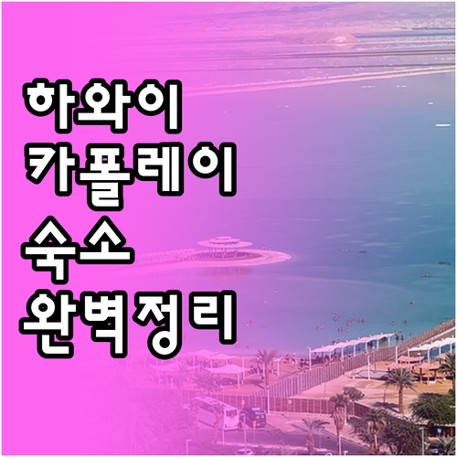 하와이 신혼여행 및 가족 여행 숙소 ..