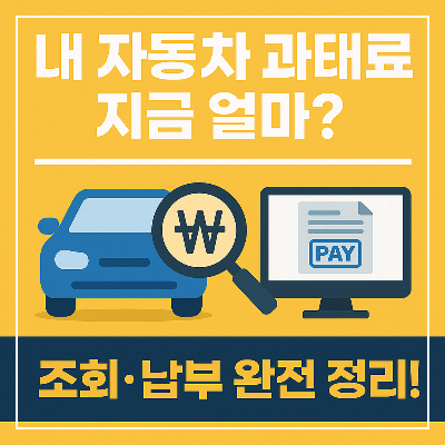 자동차 과태료 납부 대표 이미지