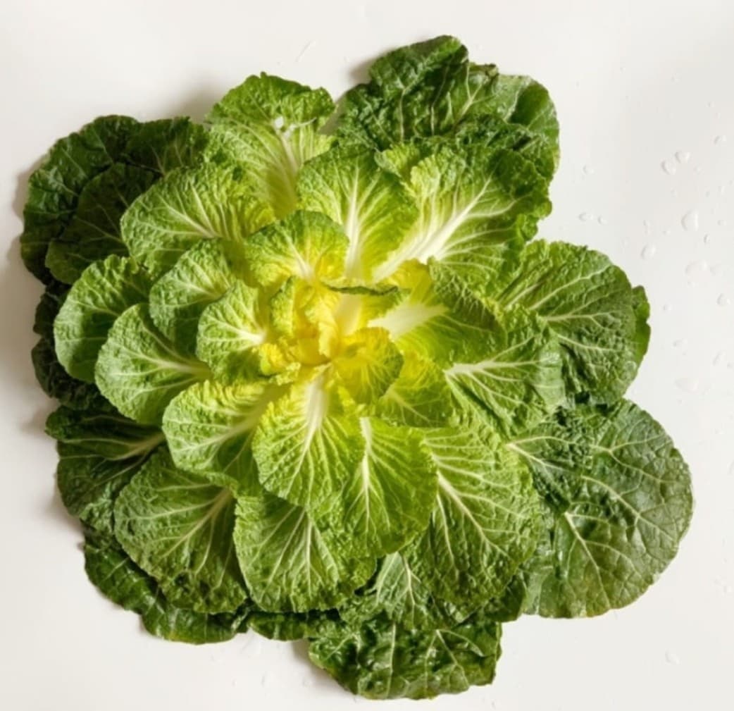 배추와 봄동의 차이: 겨울 끝자락에서 만나는 봄의 맛 - 봄동