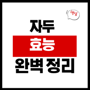 자두 효능