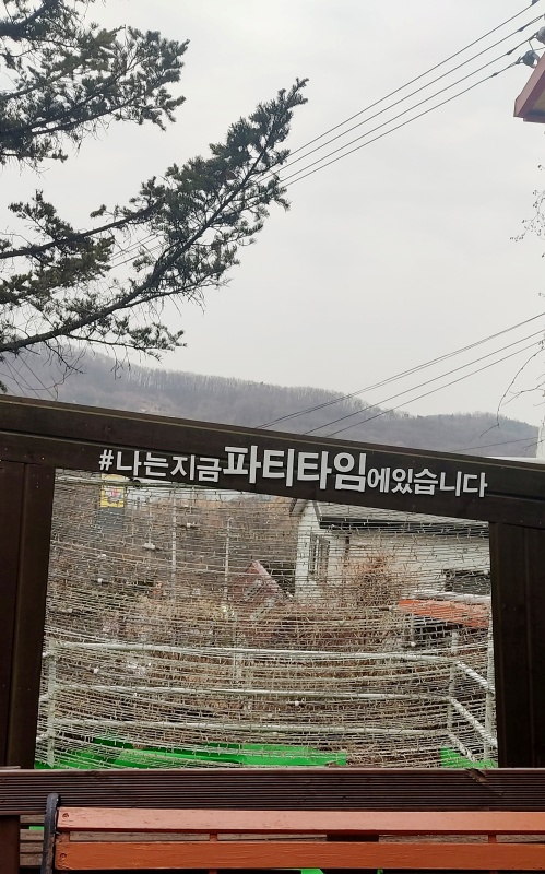 야외포토존