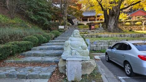 서산 흥주사 : 900년 은행나무의 전설과 백화산의 정취를 품은 고찰