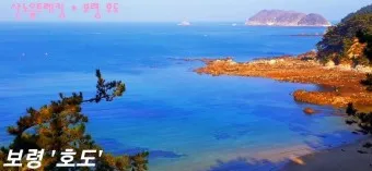 대천 호도 배편 배시간표 예매 요금 예약_18