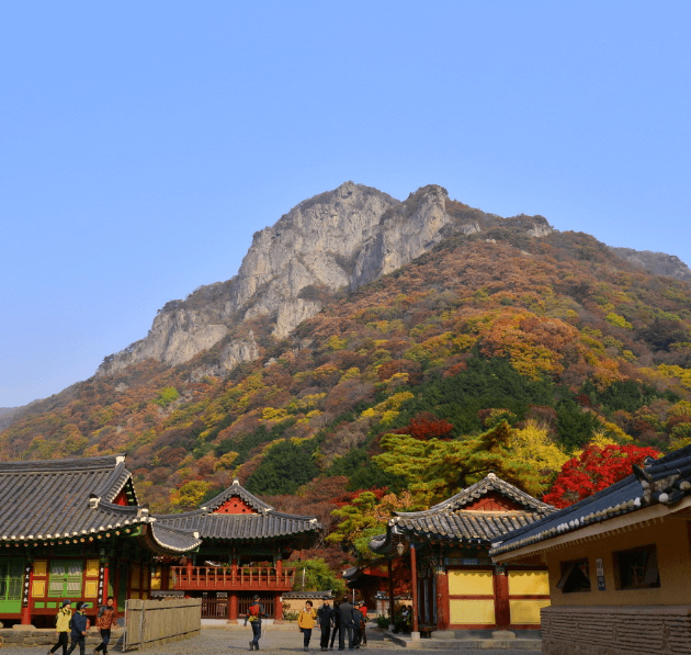 단풍축제 장성군 백양사