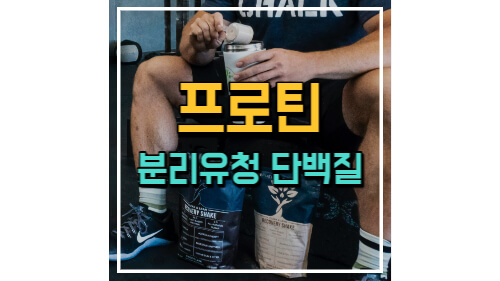 포스팅 썸네일 이미지