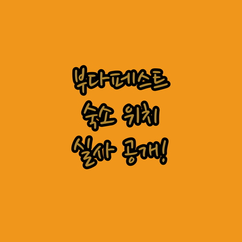 유럽 여행 부다페스트 숙소 위치별 특..