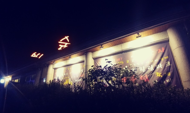  비숲 정보 안내