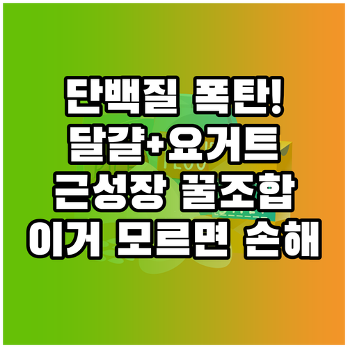 달걀과 그릭요거트로 채우는 간편한 고..