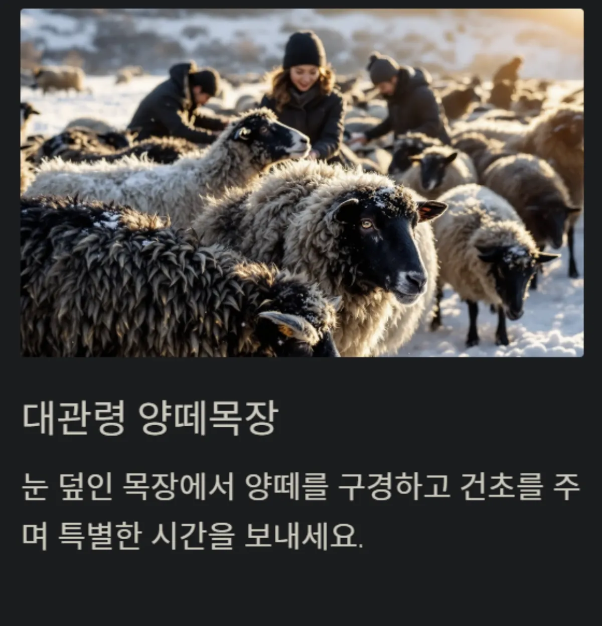 겨울방학_여행지_TOP5