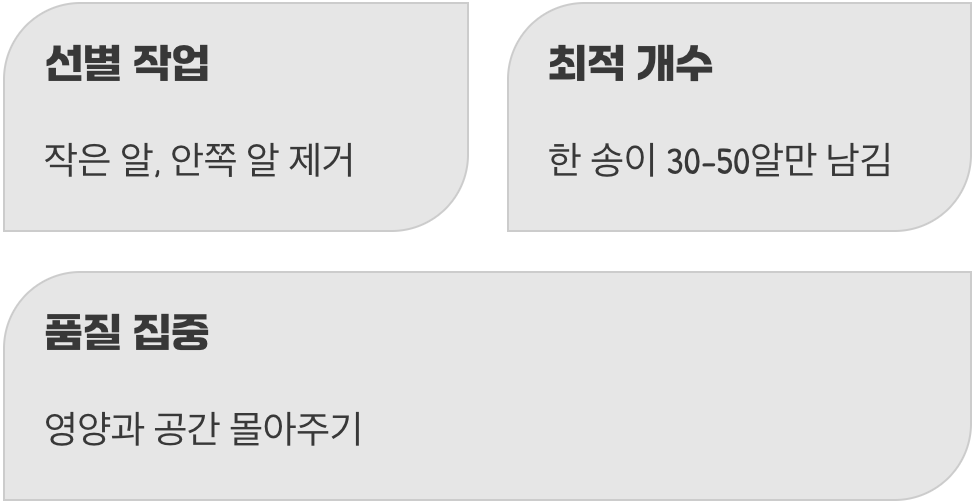 알솎기, 보석을 깎아내는 과정
