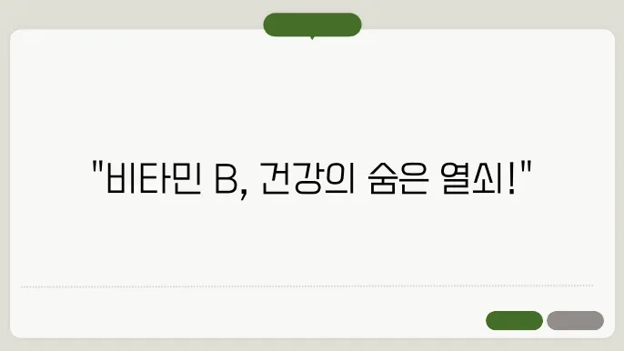 비타민b 효능