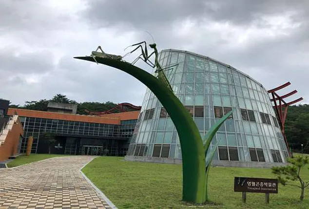 영월곤충박물관