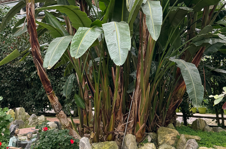 아산 세계꽃식물원