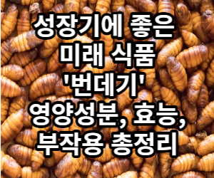 번데기