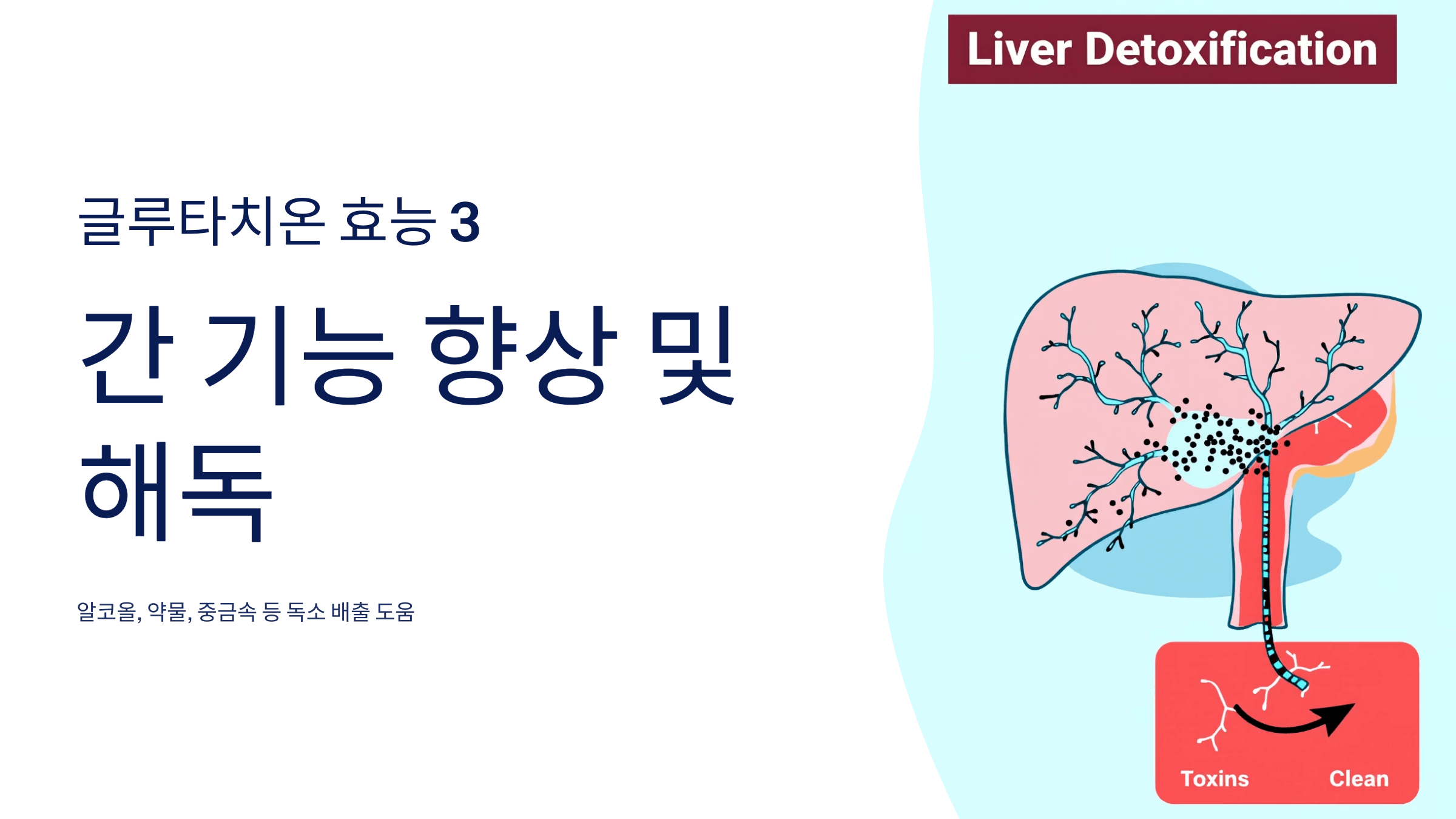 글루타치온 사진입니다.