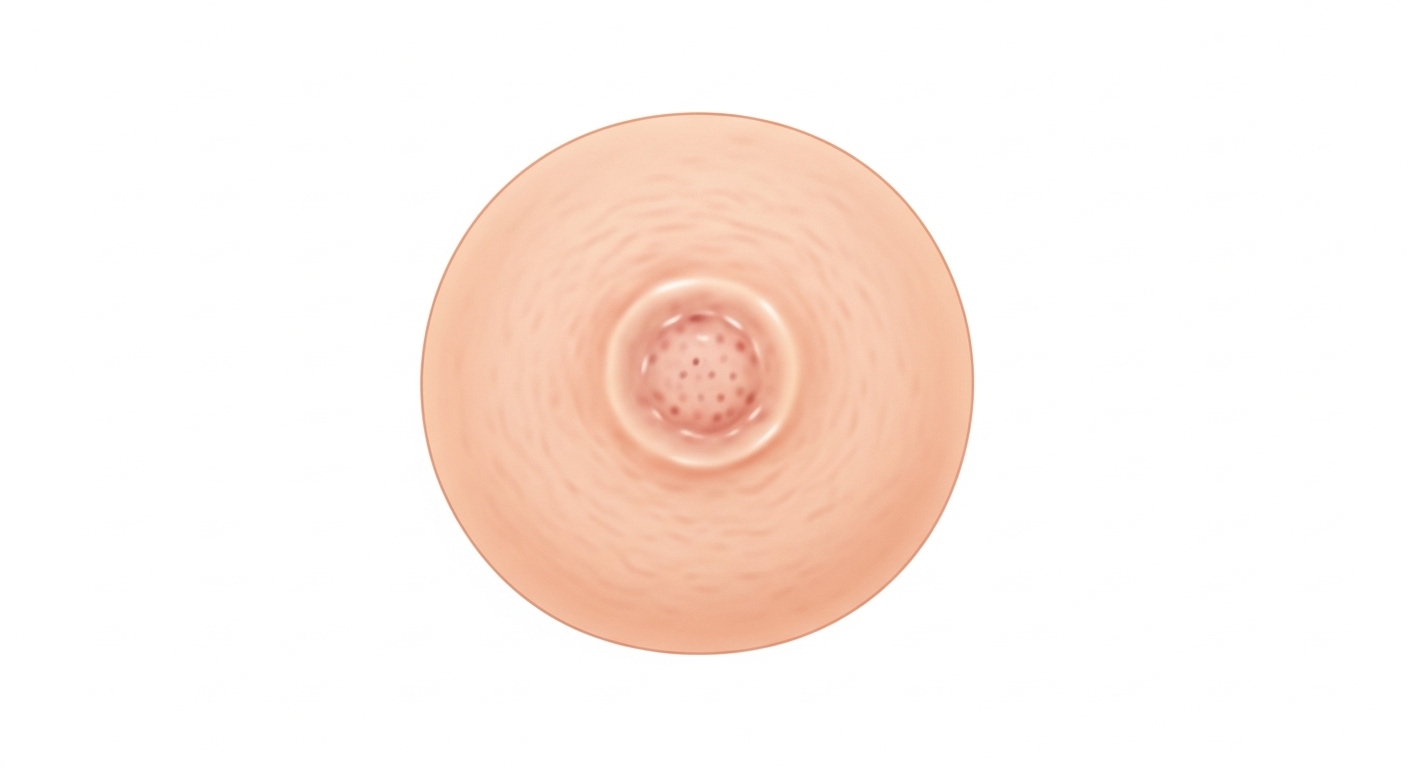 피부과매독&amp;#44; 실피부병변&amp;#44; 성병예방