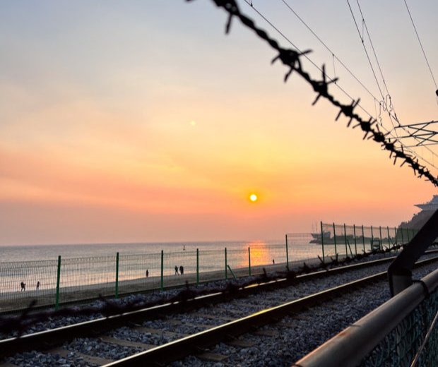 2026년 1월 KTX 일출 기차 예매