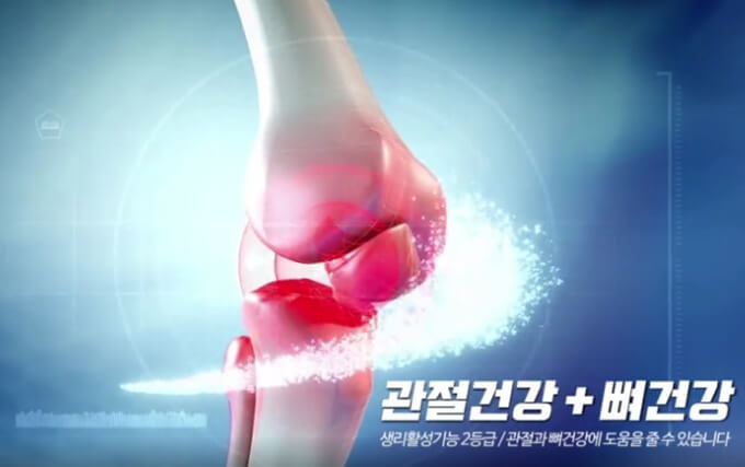 MSM과 해조칼슘이 만나다