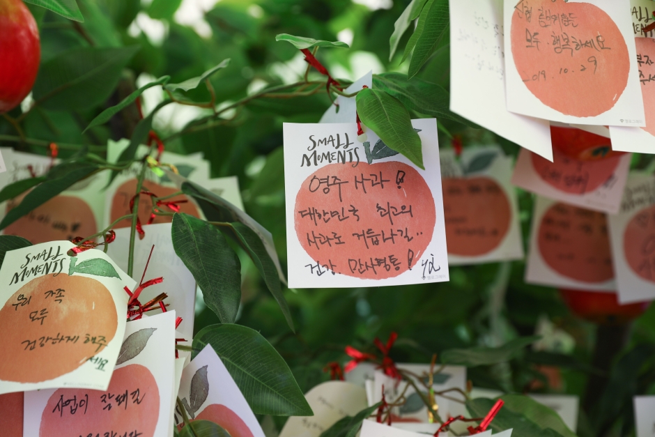 11월 지역 축제 - 경남 경북 가을 축제