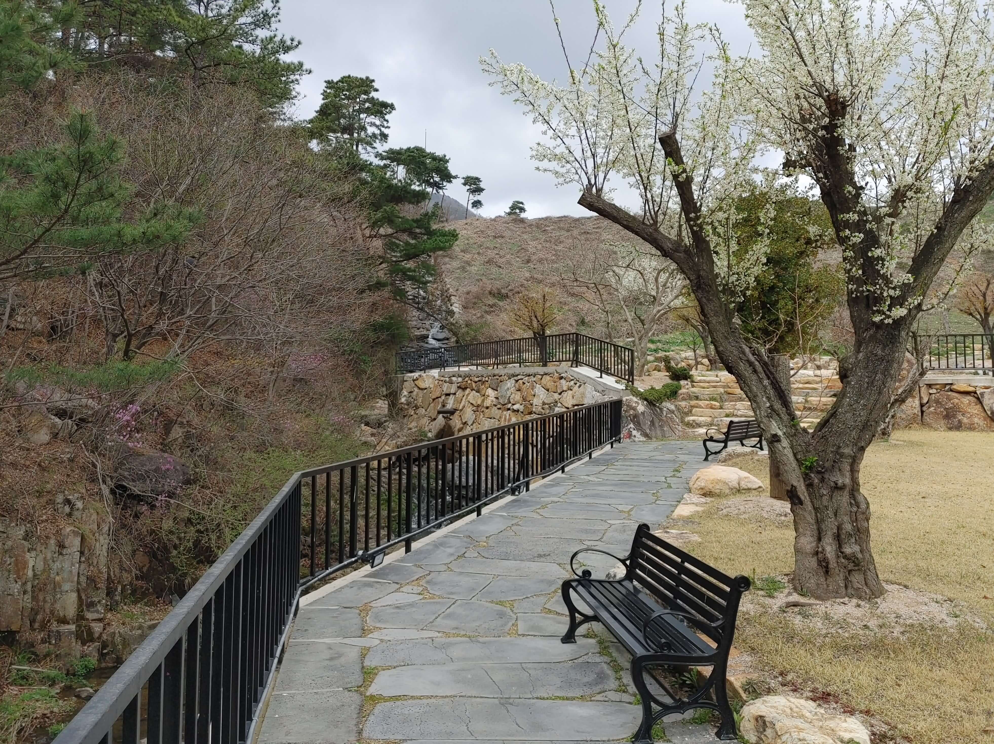 소토_한우_식육식당_잔디공원