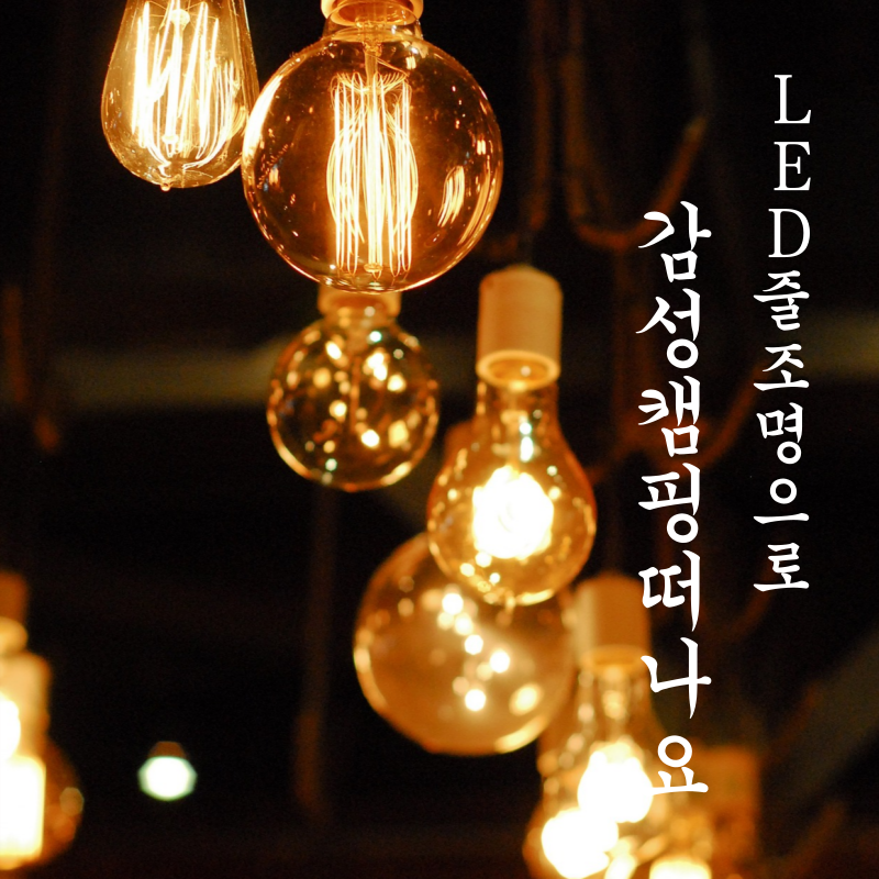 LED줄조명