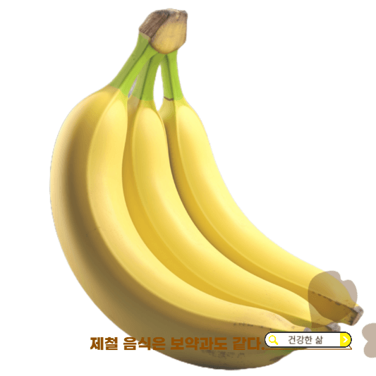 10월 제철과일
