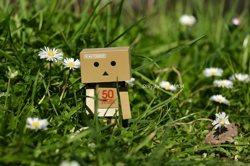 감정과 친해진 지금의 나