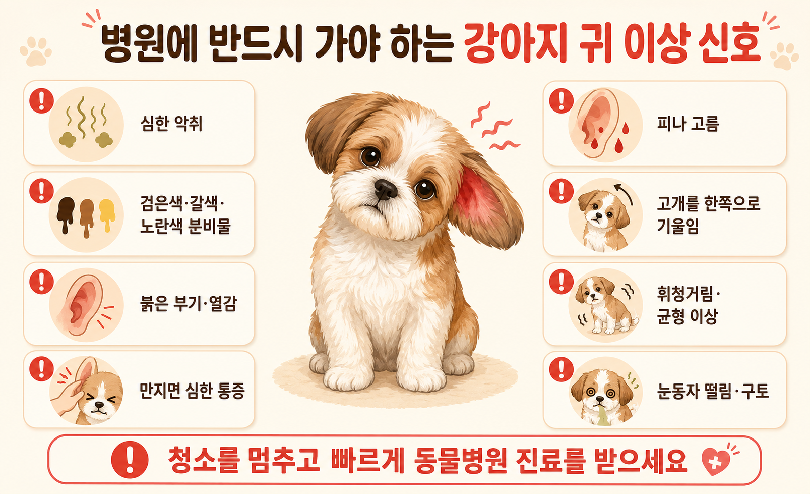 강아지 귀 이상 증상과 병원 진료가 필요한 위험 신호 이미지