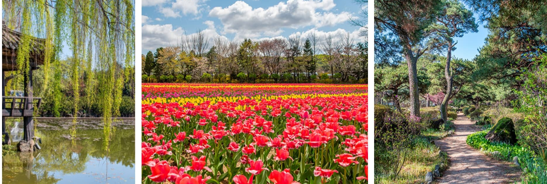 벽초지수목원 봄꽃축제❘온라인 예매 방법, 계절별 즐길 거리, 촬영지
